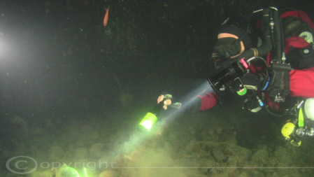 La bottiglia del nonno del Beerox!