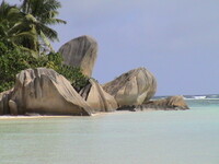 DSC00039.jpg