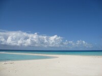IMG_3482.jpg