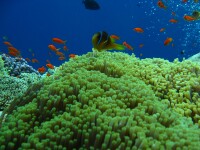 Sudan-268.jpg