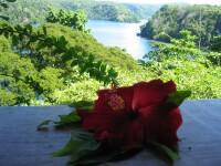 tufi-022.jpg