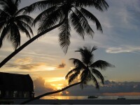 velavaru_4mar-031.jpg