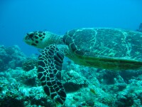 velavaru_4mar-076.jpg