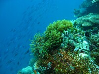 velavaru_4mar-128.jpg